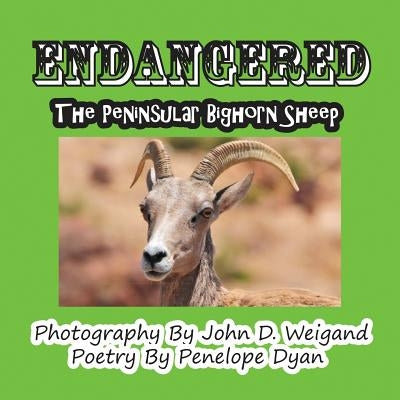 Endangered--The Peninsular Bighorn Sheep by Dyan, Penelope