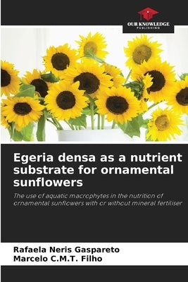 Egeria densa as a nutrient substrate for ornamental sunflowers by Neris Gaspareto, Rafaela