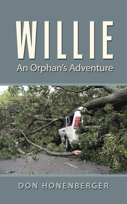 Willie: An Orphan's Adventure by Honenberger, Don