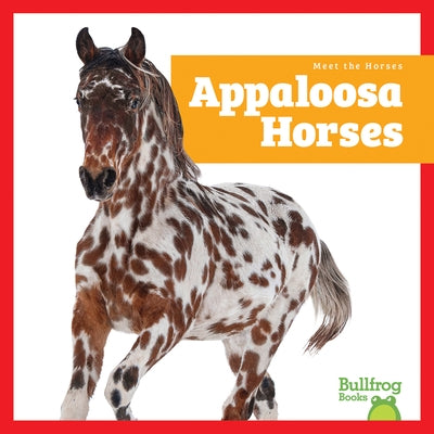 Appaloosa Horses by Grack, Rachel
