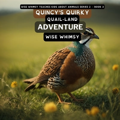 Quincy's Quirky Quail-land Adventure by Whimsy, Wise