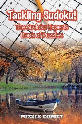 Tackling Sudoku by Comet, Puzzle