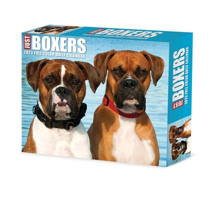 Boxers 2023 Box Calendar by Willow Creek Press