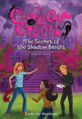 The Secret of the Shadow Bandit: 4 by Singleton, Linda Joy