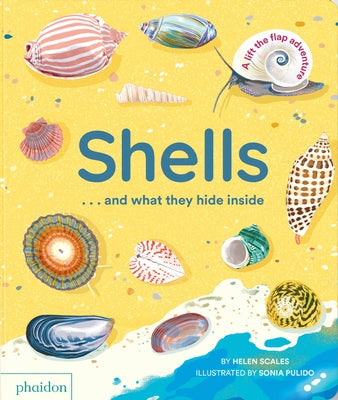 Shells... and What They Hide Inside: A Lift-The-Flap Adventure by Scales, Helen