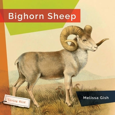 Bighorn Sheep by Gish, Melissa