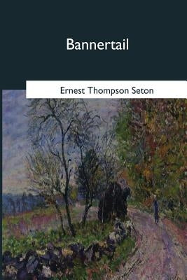 Bannertail: The Story of a Graysquirrel by Seton, Ernest Thompson