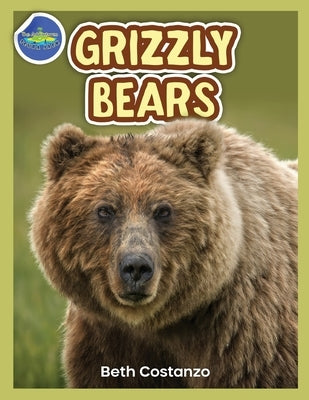 Grizzly Bear Activity Workbook ages 4-8 by Costanzo, Beth