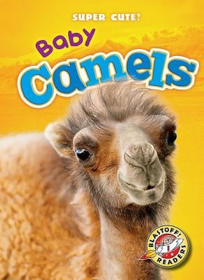 Baby Camels by Borgert-Spaniol, Megan