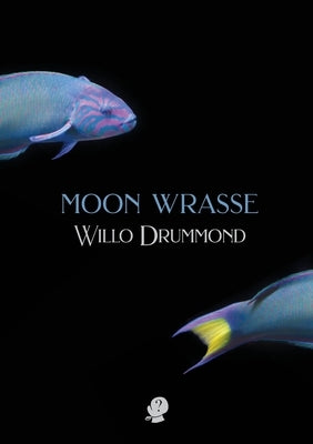 Moon Wrasse by Drummond, Willo