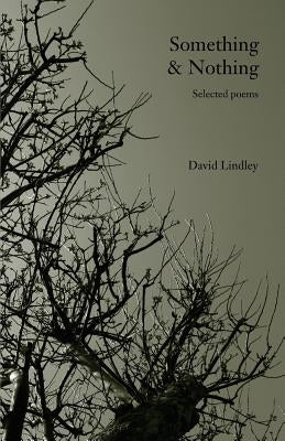 Something & Nothing by Lindley, David