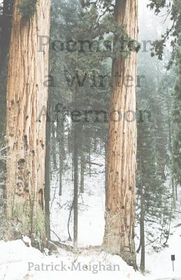 Poems for a Winter Afternoon by Meighan, Patrick