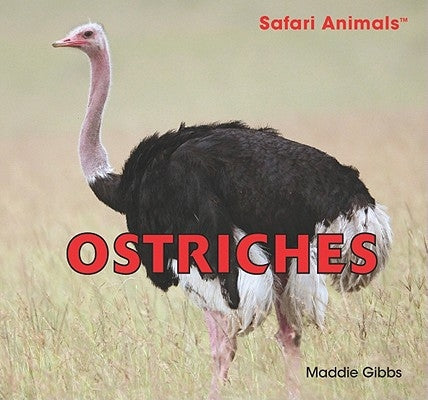 Ostriches by Gibbs, Maddie