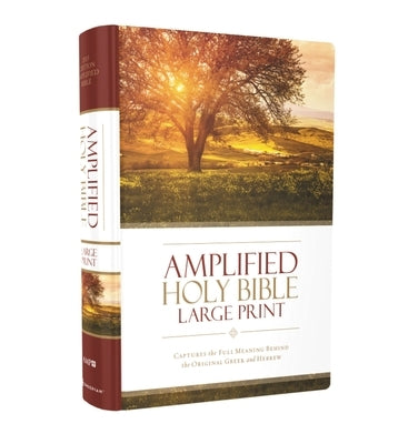 Amplified Bible-Am-Large Print: Captures the Full Meaning Behind the Original Greek and Hebrew by Zondervan