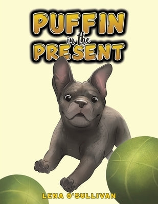 Puffin in the Present by O'Sullivan, Lena