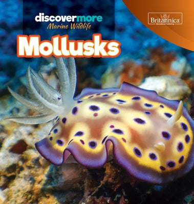 Mollusks by Salvatore, Kaitlyn