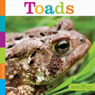 Toads by Arnold, Quinn M.