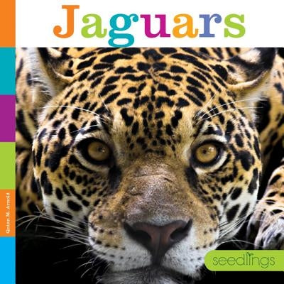 Jaguars by Arnold, Quinn M.