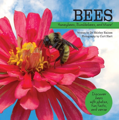 Bees: Honeybees, Bumblebees, and More! by Raines, Shirley
