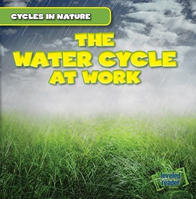 The Water Cycle at Work by Pendergast, George