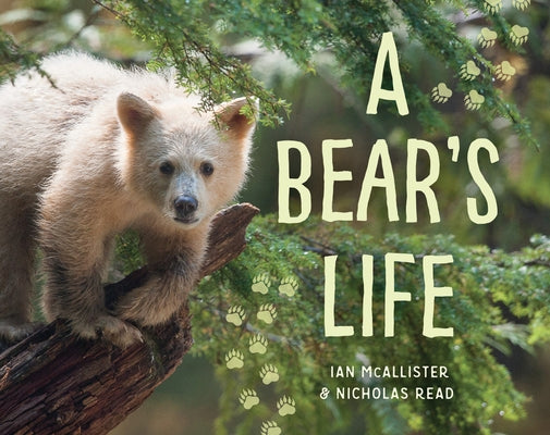 A Bear's Life by McAllister, Ian