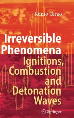 Irreversible Phenomena: Ignitions, Combustion and Detonation Waves by Terao, Kunio
