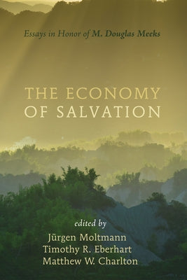 The Economy of Salvation: Essays in Honor of M. Douglas Meeks by Moltmann, Jürgen