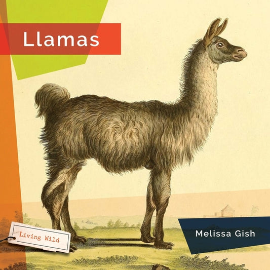 Llamas by Gish, Melissa