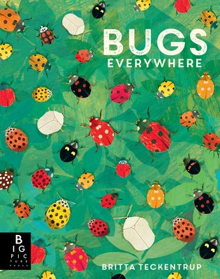 Bugs Everywhere by Murray, Lily