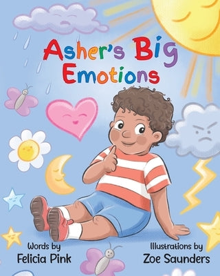 Asher's Big Emotions by Pink, Felicia