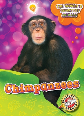Chimpanzees by Mattern, Joanne