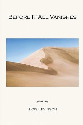 Before It All Vanishes by Levinson, Lois