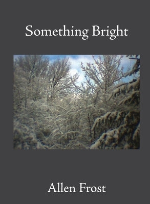 Something Bright by Frost, Allen