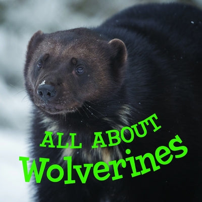 All about Wolverines: English Edition by Hoffman, Jordan