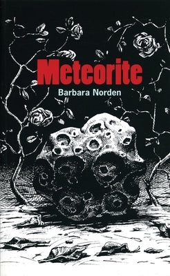 Meteorite by Norden, Barbara