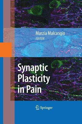 Synaptic Plasticity in Pain by Malcangio, Marzia