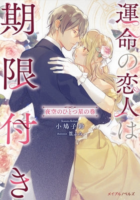 True Love Fades Away When the Contract Ends - One Star in the Night Sky (Light Novel) by Kobato, Kosuzu