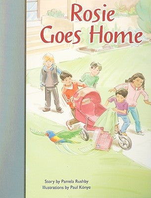 Rigby PM Stars Bridge Books: Individual Student Edition Silver Rosie Goes Home by Rigby