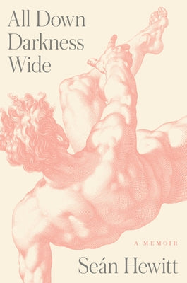 All Down Darkness Wide: A Memoir by Hewitt, Seán