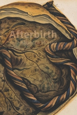 Afterbirth by Morton, Rebecca