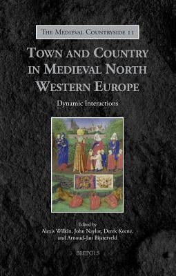 Town and Country in Medieval North Western Europe: Dynamic Interactions by Wilkin, Alexis