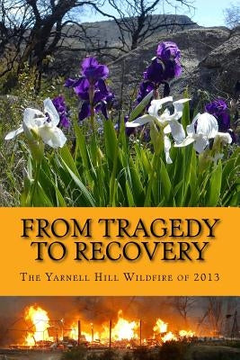 From Tragedy to Recovery 1--B&W: The Yarnell Hill Wildfire of 2013 by Mohit, Emad