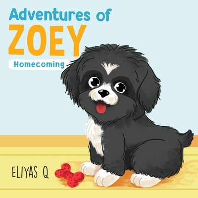 Adventures Of Zoey: Homecoming by Qureshi, Eliyas