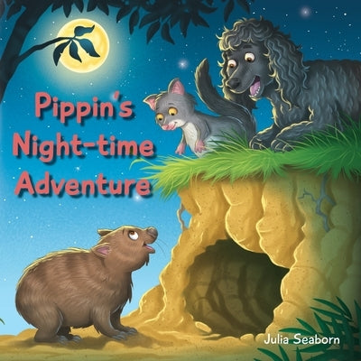 Pippin's Night-time Adventure by Seaborn, Julia