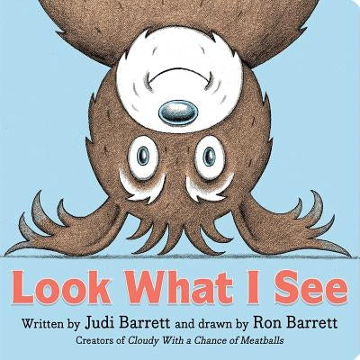 Look What I See by Barrett, Judi
