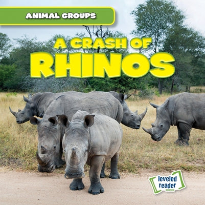 A Crash of Rhinos by Lynch, Seth