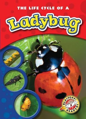 The Life Cycle of a Ladybug by Kaplan, Mandy