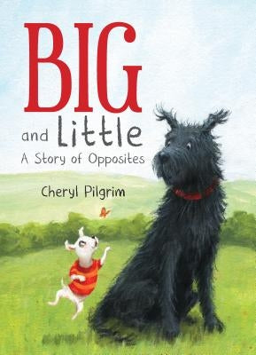 Big and Little: A Story of Opposites by Pilgrim, Cheryl
