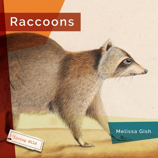 Raccoons by Gish, Melissa