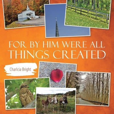 For by Him Were All Things Created by Bright, Charlcia